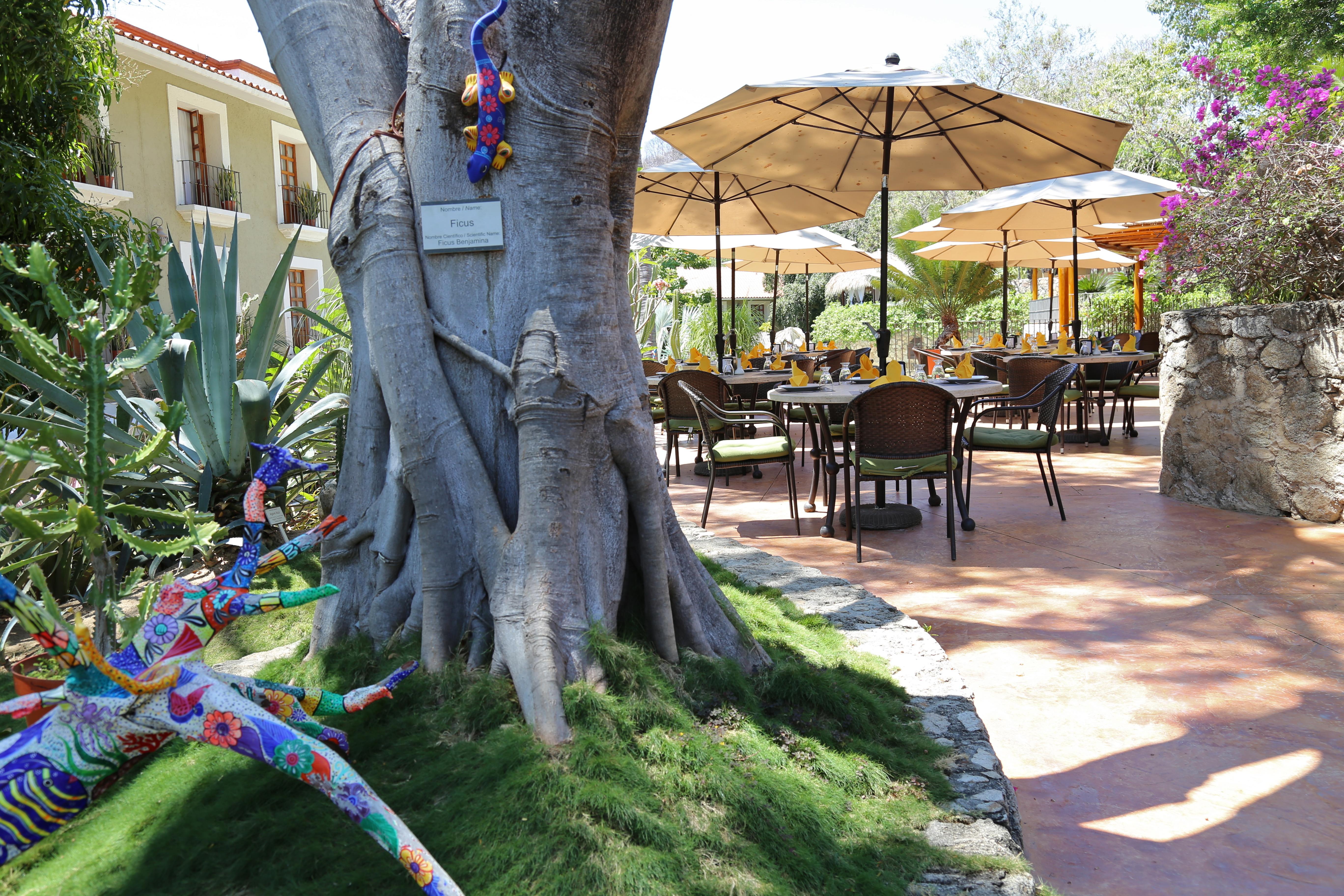 Binniguenda Huatulco & Beach Club Экстерьер фото